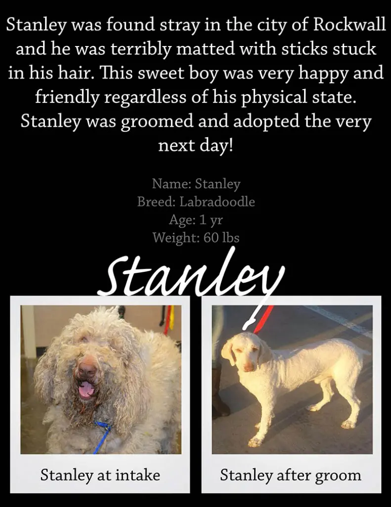 stanley